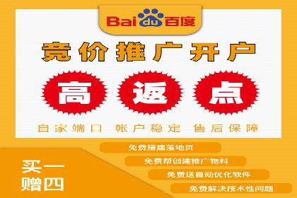 百度竞价排名服务：实战案例教你如何高效推广